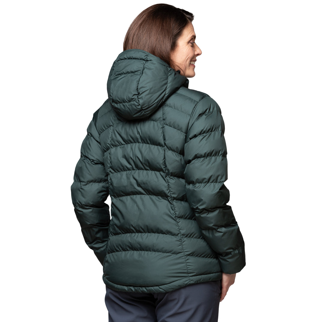 SP-01583 Dark Spruce