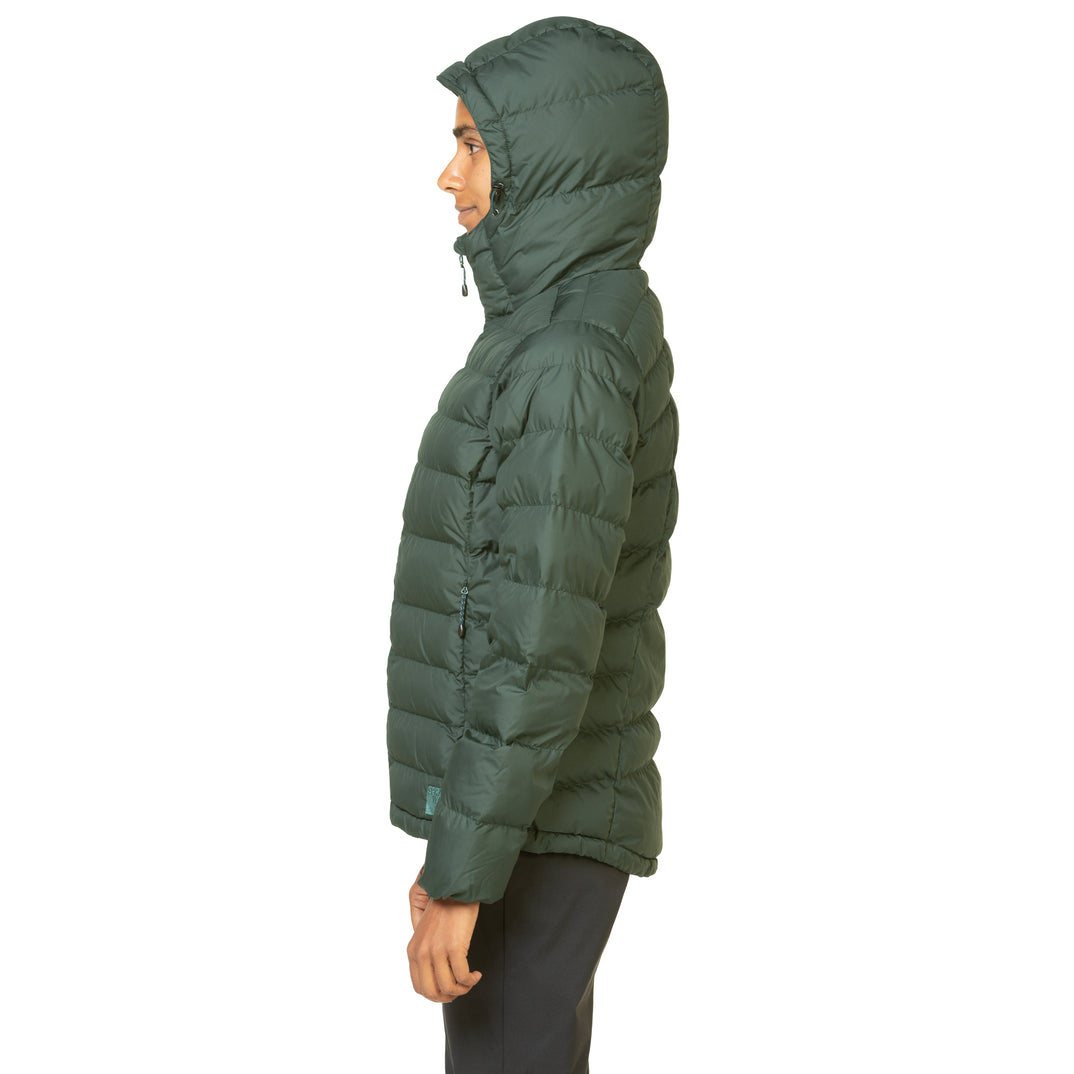 SP-01583 Dark Spruce