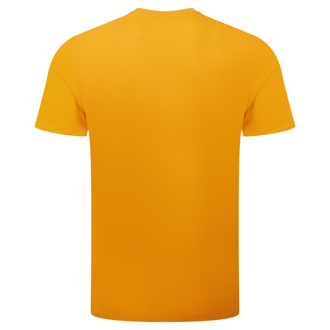 SP-01719 Turmeric