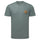 SP-01623 Balsam Green