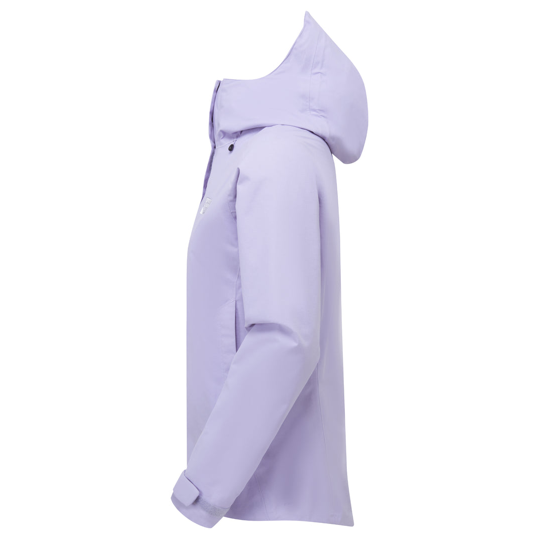 SP-01755 Blue Thistle