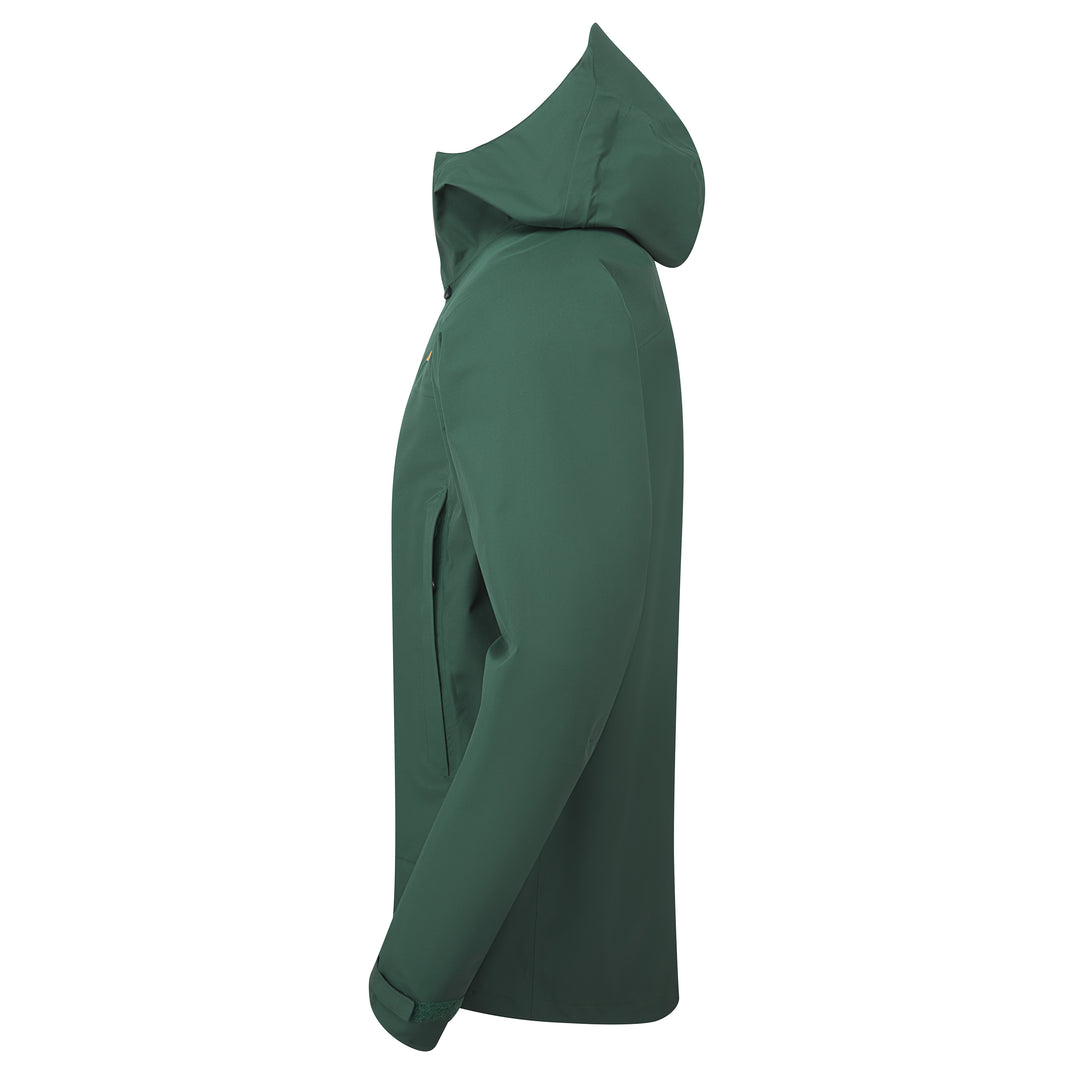 SP-01583 Dark Spruce