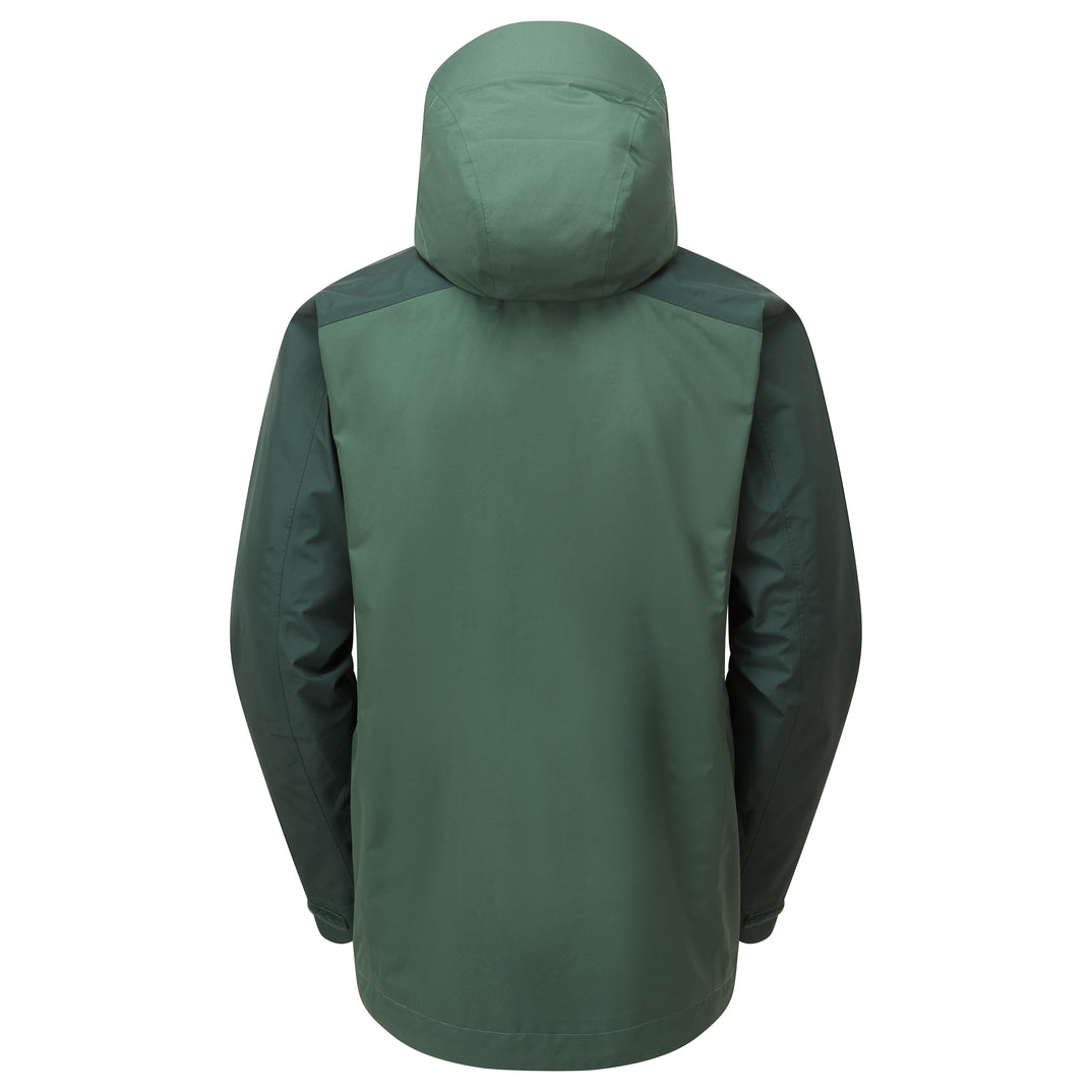 SP-01582 Conifer/Dark Spruce