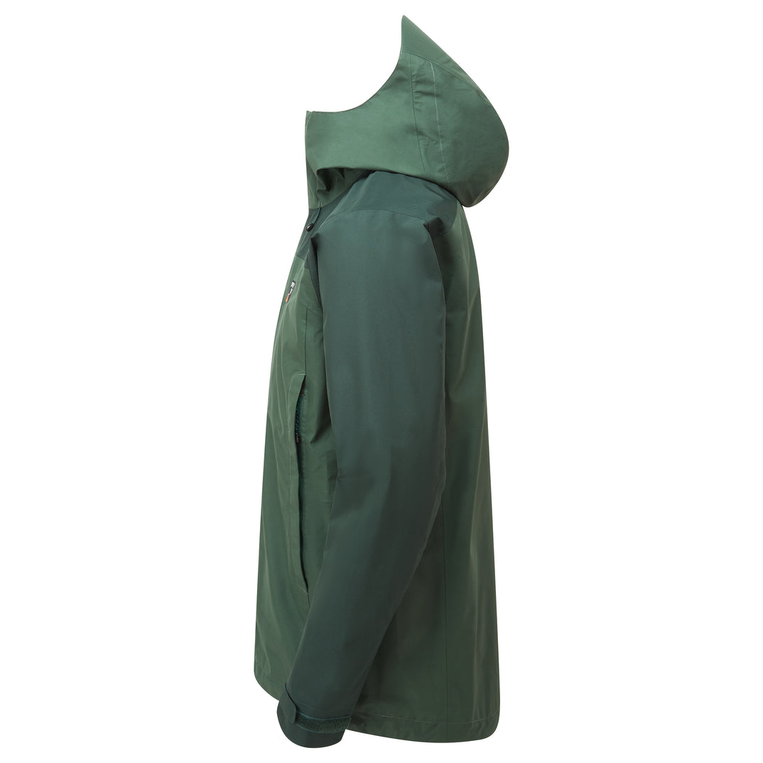 SP-01582 Conifer/Dark Spruce