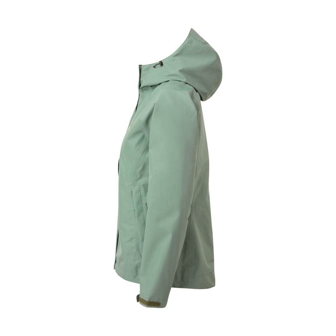 SP-01520 Laurel