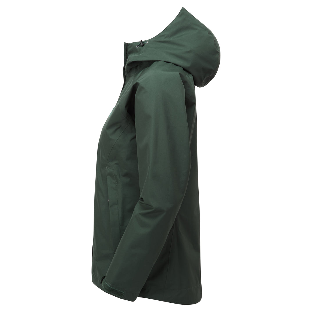 SP-01583 Dark Spruce