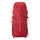  SP-01155 Chilli Pepper