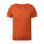 SP-01524 Burnt Ochre