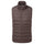 SP-01599 Raisin