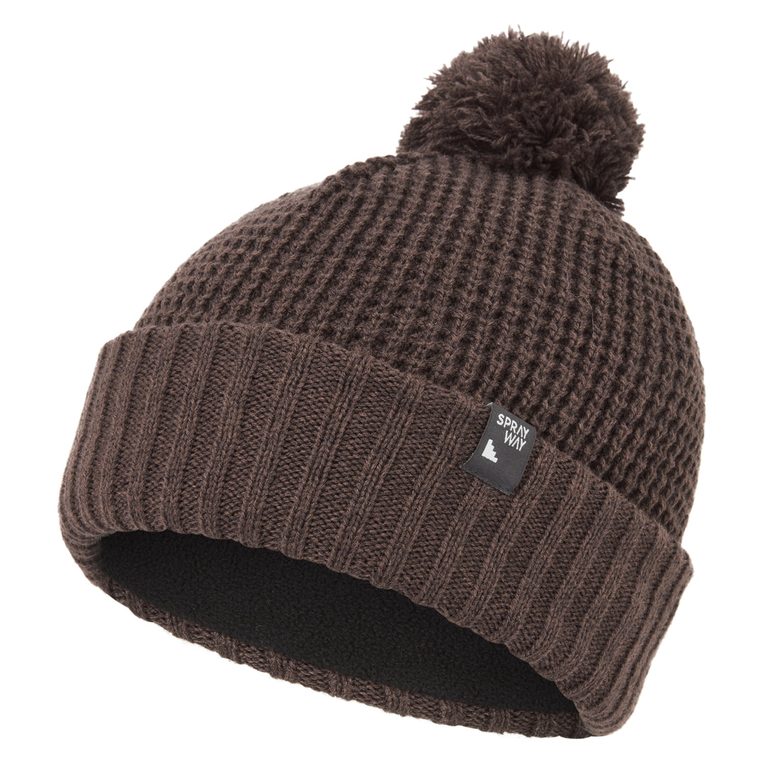 SP-01599 Raisin