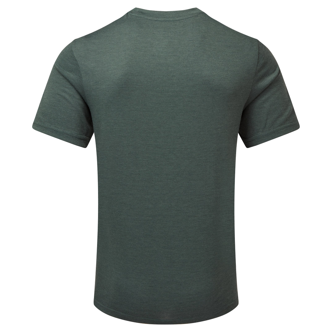 SP-01583 Dark Spruce